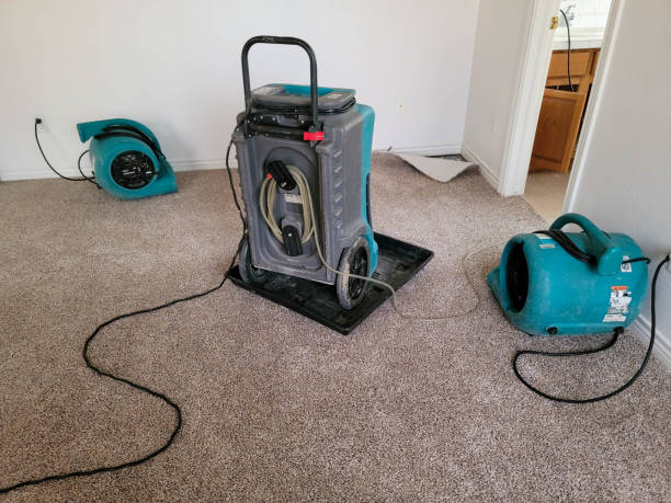 Best Flood damage cleanup  in Franklinville, NC
