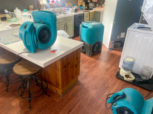 Best Carpet water damage restoration  in Franklinville, NC