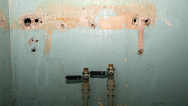 Best Water damage restoration specialists  in Franklinville, NC